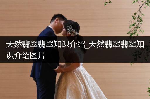 天然翡翠翡翠知识介绍_天然翡翠翡翠知识介绍图片