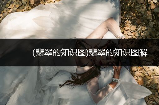 （翡翠的知识图)翡翠的知识图解