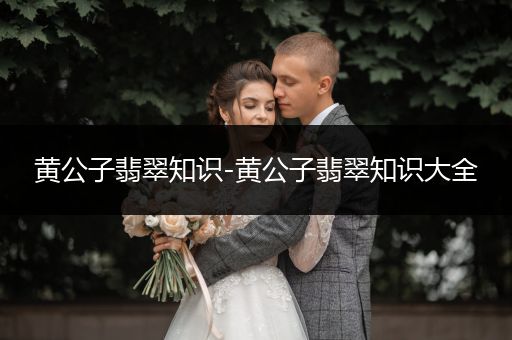 黄公子翡翠知识-黄公子翡翠知识大全