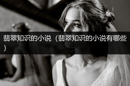 翡翠知识的小说（翡翠知识的小说有哪些）