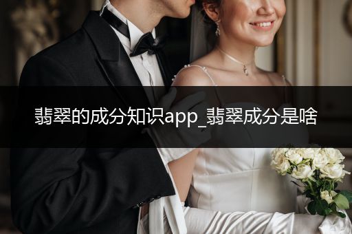 翡翠的成分知识app_翡翠成分是啥