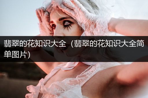 翡翠的花知识大全（翡翠的花知识大全简单图片）