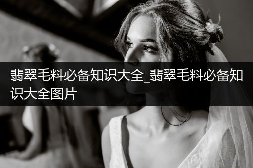 翡翠毛料必备知识大全_翡翠毛料必备知识大全图片