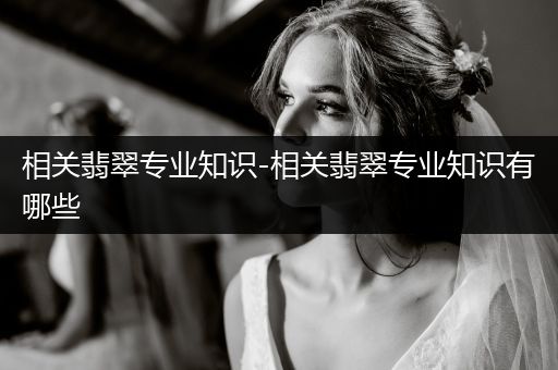 相关翡翠专业知识-相关翡翠专业知识有哪些