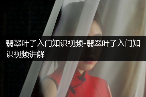 翡翠叶子入门知识视频-翡翠叶子入门知识视频讲解