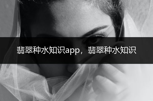 翡翠种水知识app，翡翠种水知识