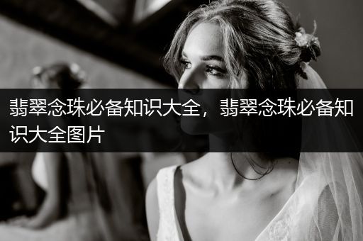 翡翠念珠必备知识大全，翡翠念珠必备知识大全图片