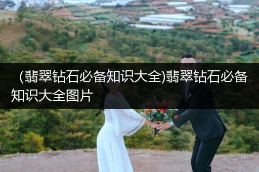 （翡翠钻石必备知识大全)翡翠钻石必备知识大全图片