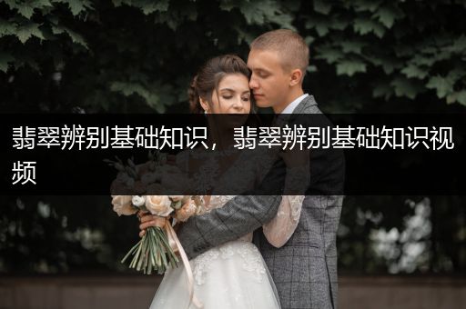 翡翠辨别基础知识，翡翠辨别基础知识视频