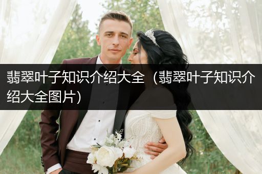 翡翠叶子知识介绍大全（翡翠叶子知识介绍大全图片）