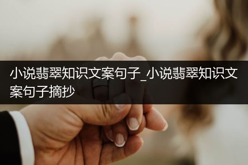 小说翡翠知识文案句子_小说翡翠知识文案句子摘抄