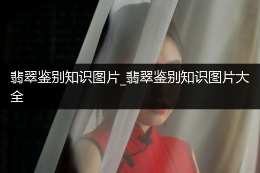 翡翠鉴别知识图片_翡翠鉴别知识图片大全